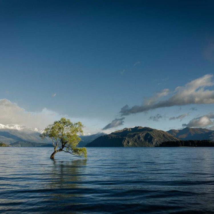 Lorem ipsum dolor sit amet