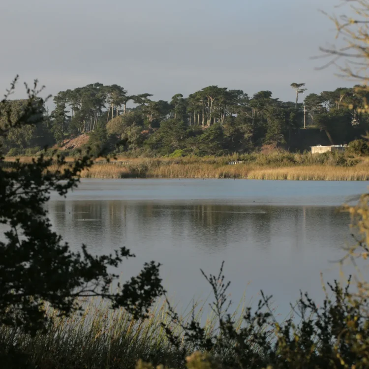 Lorem ipsum dolor sit amet